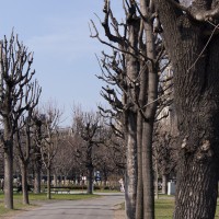 SONY DSC